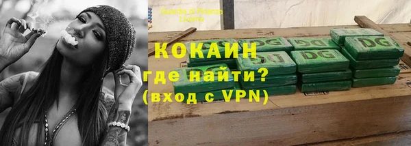 дурь Карпинск