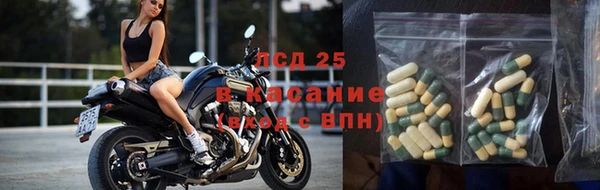 дурь Карпинск