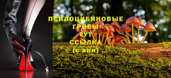 МДПВ Касимов