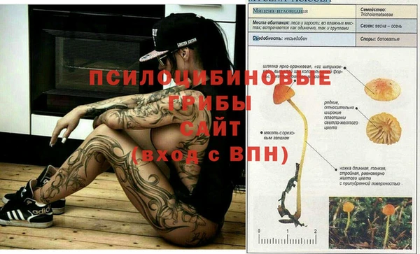 дурь Карпинск
