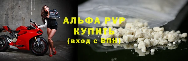 дурь Карпинск