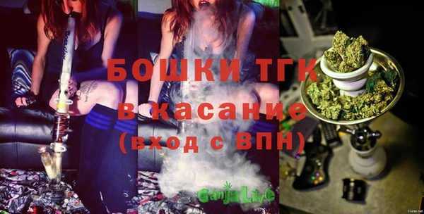 дурь Карпинск