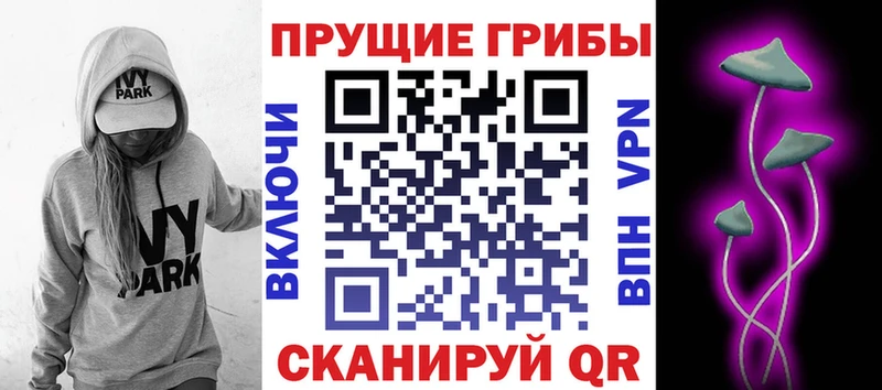 Псилоцибиновые грибы Psilocybe  Смоленск 