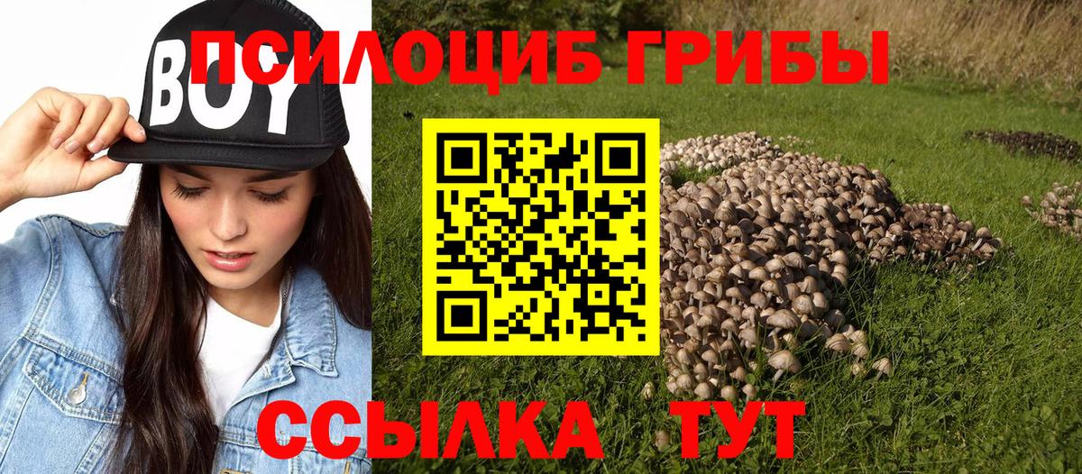 Смоленск  наркошоп  Псилоцибиновые грибы Psilocybine cubensis  Вход с VPN  Псилоцибиновые грибы Magic Shrooms 